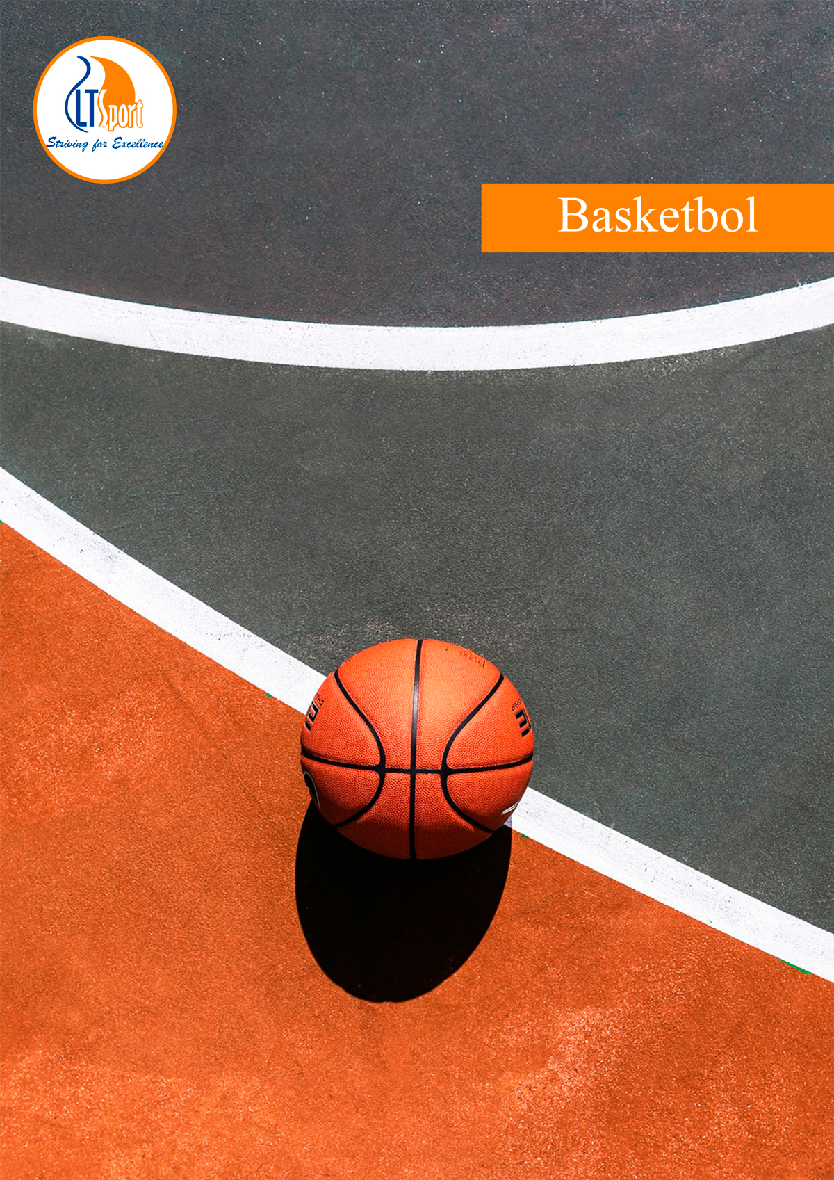 альтернативный текст